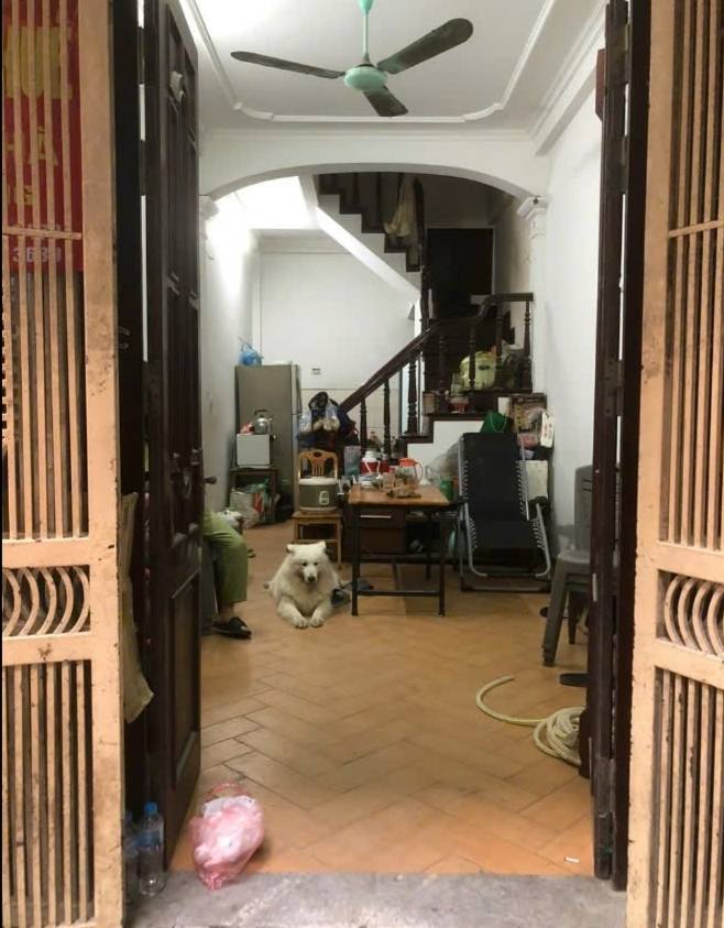 Cho thuê nhà ngõ Thống Nhất, Đại La 4 tầng x 32m2, 3PN, 3 vệ sinh, 10 Triệu/tháng - Ảnh chính